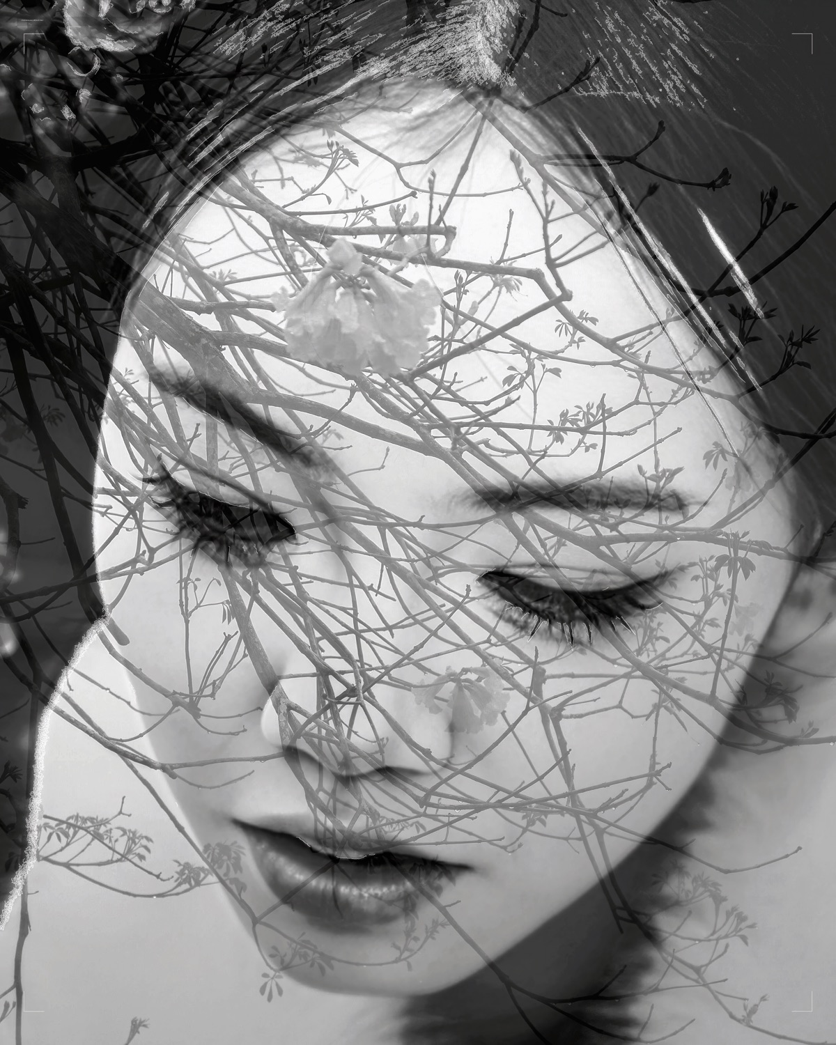 05. Branches Across the Face by Igli Martini